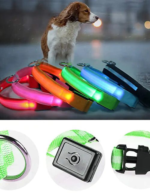 Load image into Gallery viewer, LED Dog Collar
