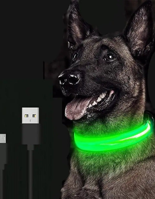 Load image into Gallery viewer, LED Dog Collar
