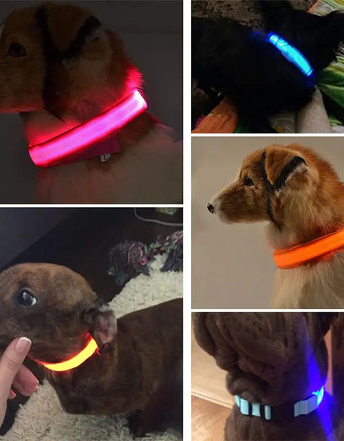 Load image into Gallery viewer, LED Dog Collar
