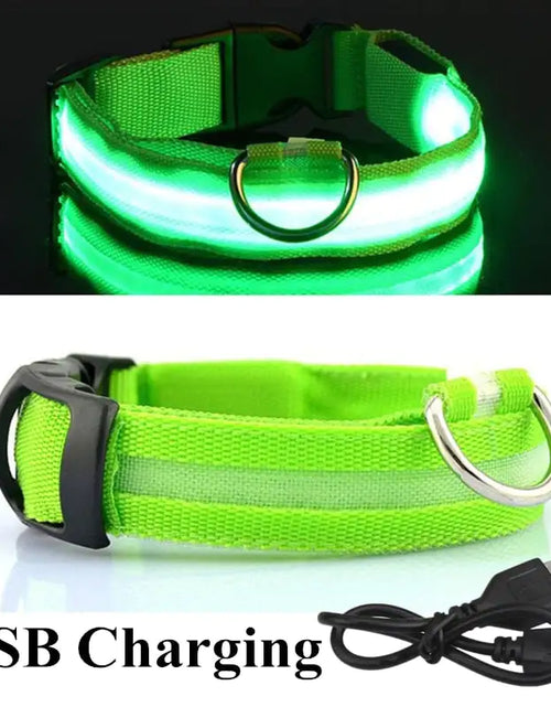 Load image into Gallery viewer, LED Dog Collar
